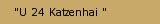 "U 24 Katzenhai "